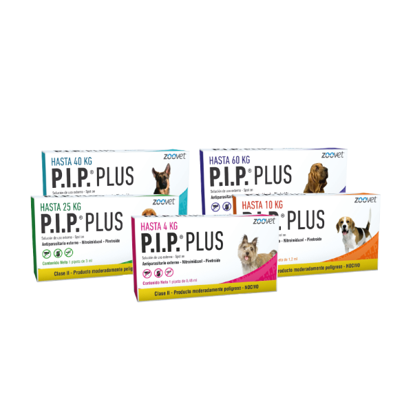 P.I.P PLUS