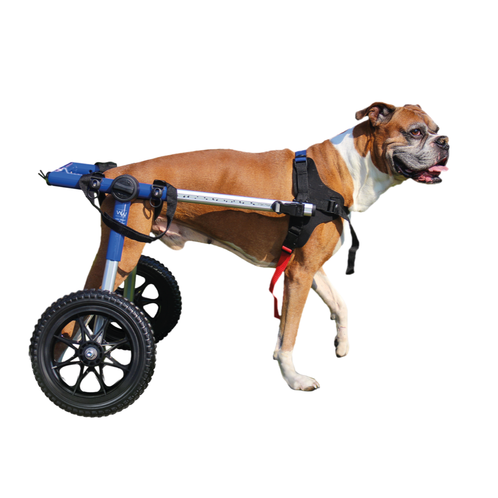 Silla de Ruedas Walkin’ Wheels
