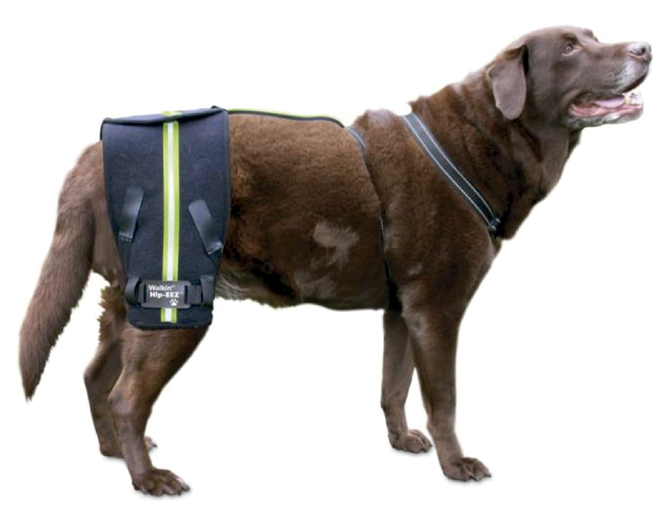 Sistema de Soporte Walkin' Hip-EEZ