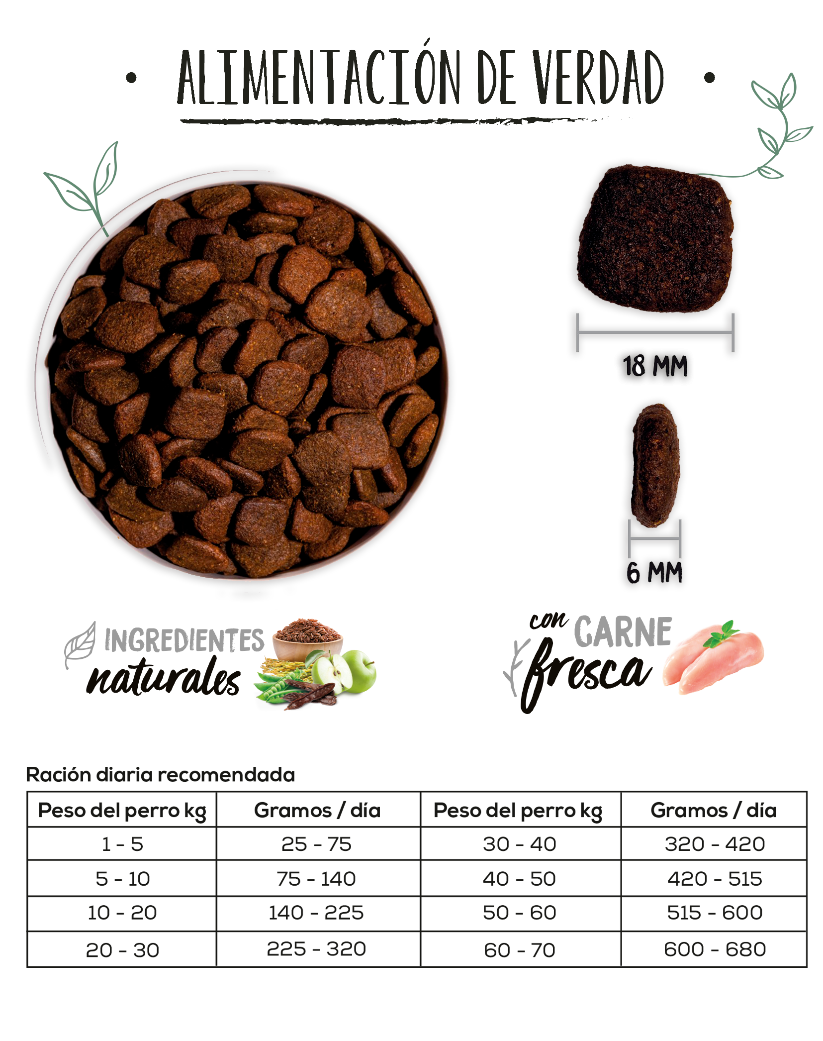 ow-gf-hypo-salmon-platoadl-1