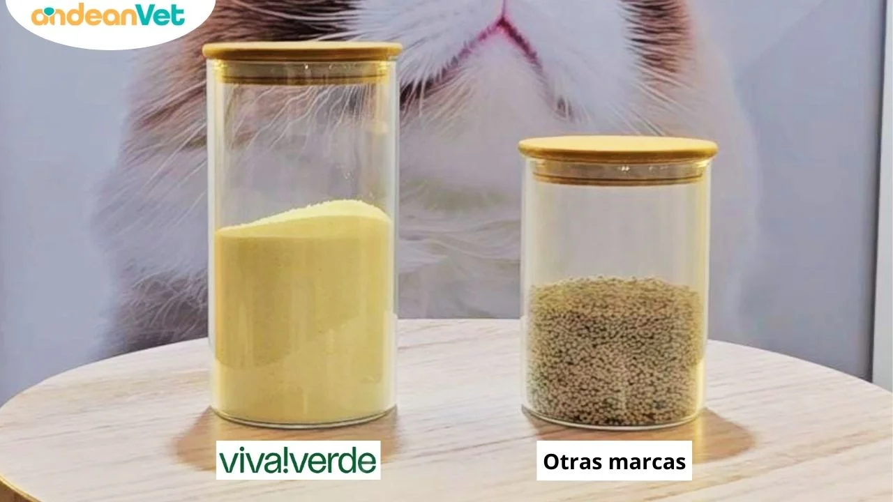 Mejor arena para gatos en Perú