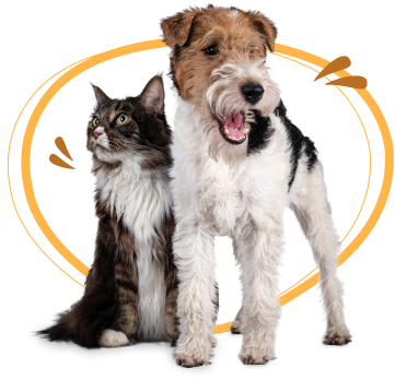 Animales Menores
